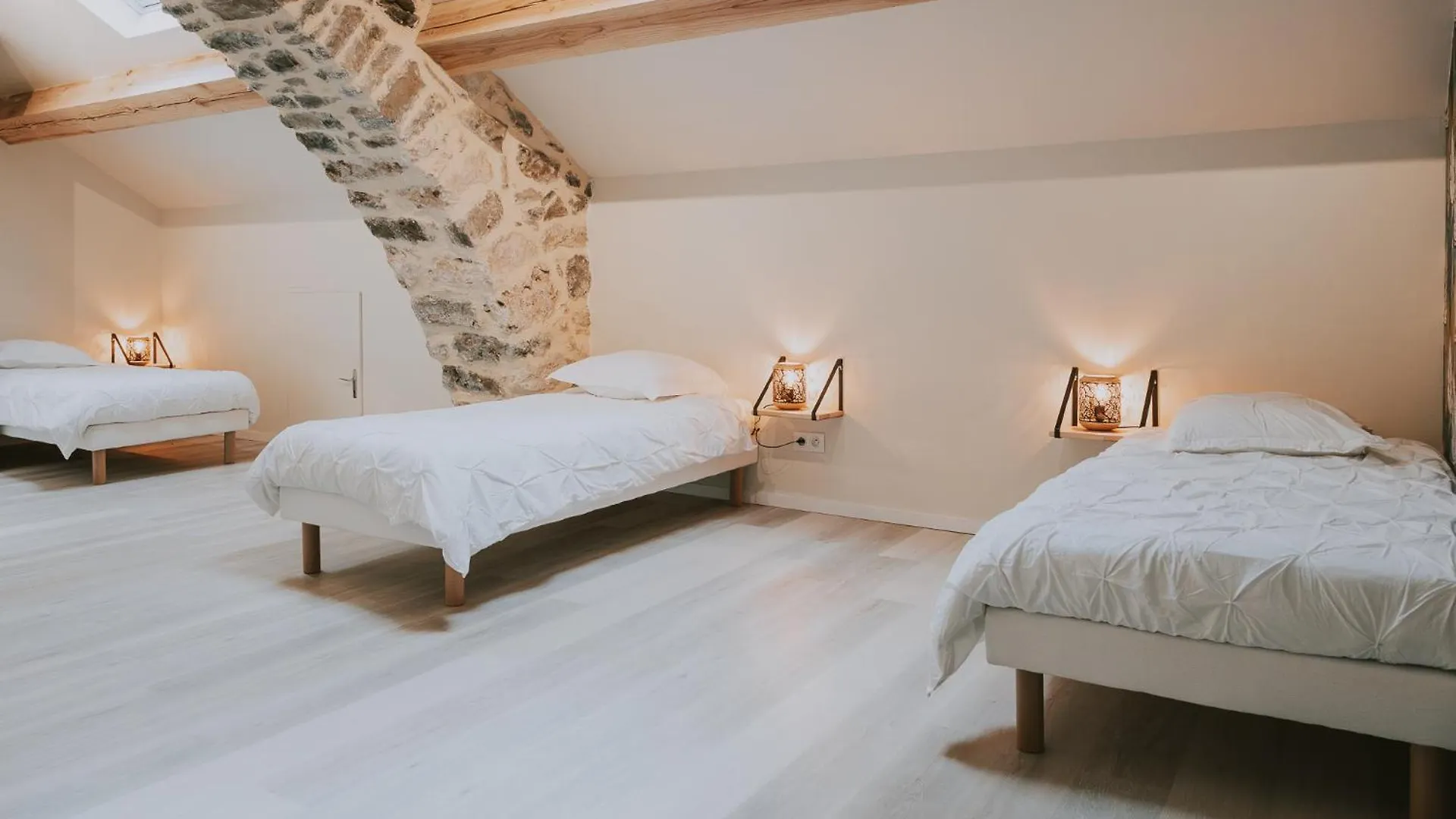 Domaine De Tapies 2 Gites Jusqu A 19 Personnes Cornus 0*,  France